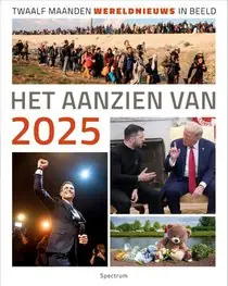 Het aanzien van 2025 Goedkoop