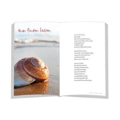 Flitsaanbieding Schneckenhauszeit