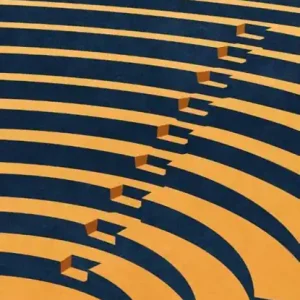 Actieprijs The Performer